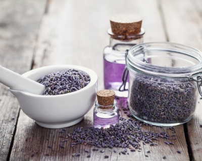 Lavender oil and flowers