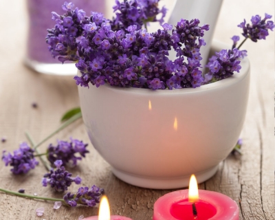 Lavender for relaxation and aromatherapy